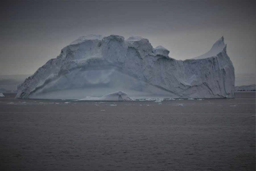 PLA30-20, Day 05, 20 FEB, Petermann & Pleaneau, D5_RegisPerdriat (6) -Oceanwide Expeditions.jpg