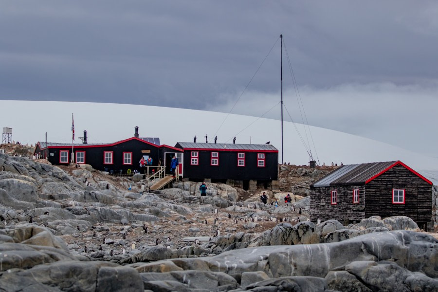 Port Lockroy & Ships Cruise