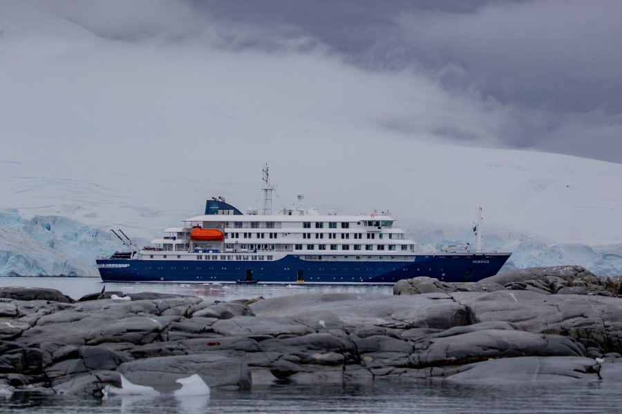 HDS29-20, DAY 06, 10 FEB pippalow-4281 - Oceanwide Expeditions.jpg