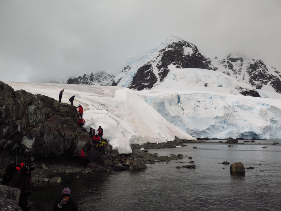 PLA31-20, Day 05, Brown_Neko 07 Paradise Glacier Mal Haskins -Oceanwide Expeditions.JPG