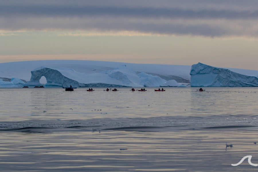 PLA31-20, Day 06, Lemaire_Petermann_Pleneau pippalow-6935 -Oceanwide Expeditions.jpg