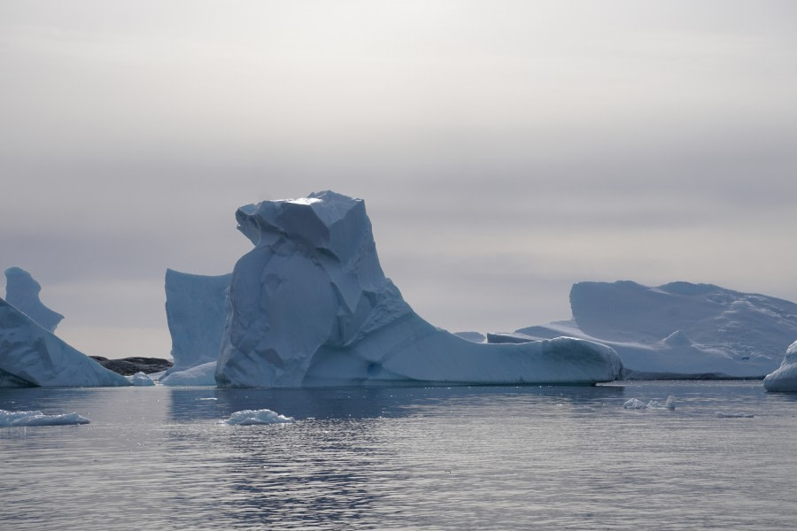 PLA31-20, Day 06, Lemaire_Petermann_Pleneau Day6_cruise_Steffi_Liller -Oceanwide Expeditions.JPG