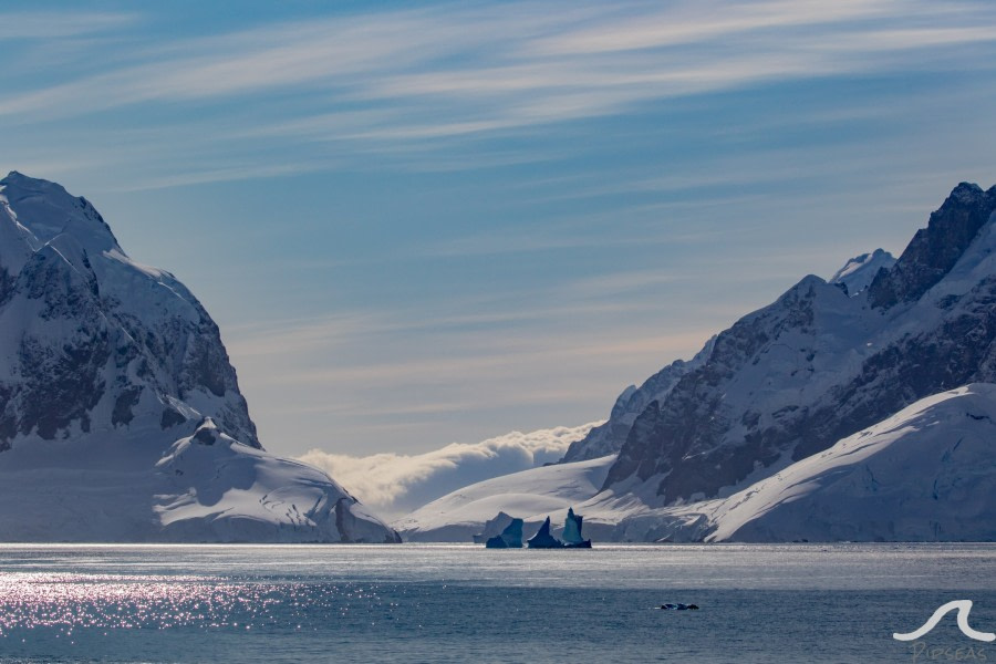 PLA31-20, Day 06, Lemaire_Petermann_Pleneau pippalow-6714 -Oceanwide Expeditions.jpg