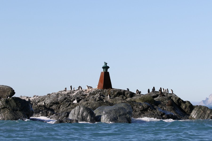 Elephant Island: Point Wild