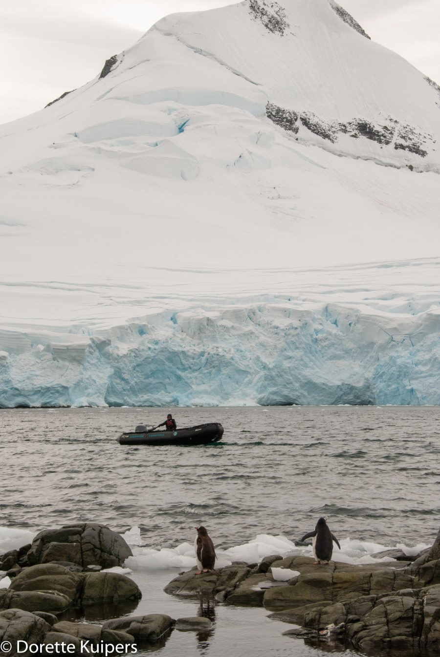 PLA31-20, Day 07, Damoy_Jougla Point Zodiac Jougla -Oceanwide Expeditions.jpg