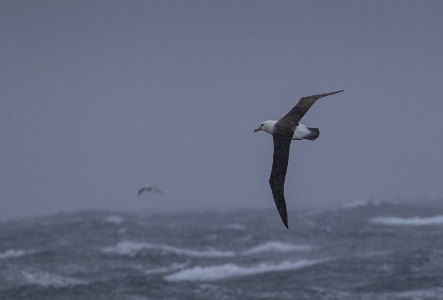 At sea: The Southern Ocean