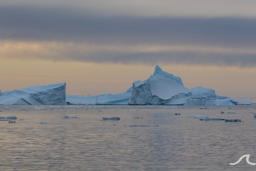 PLA31-20, Day 06, Lemaire_Petermann_Pleneau pippalow-6918 -Oceanwide Expeditions.jpg