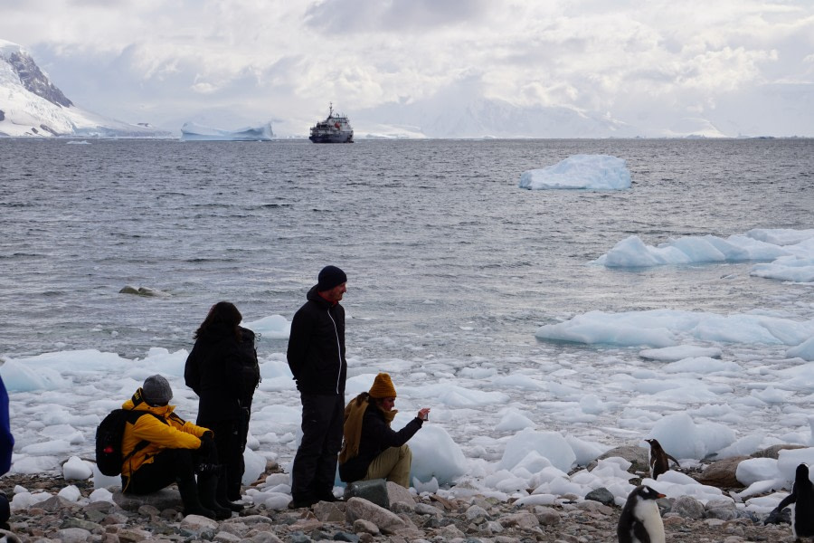 PLA31-20, Day 05, Brown_Neko Day5l_Steffi_Liller -Oceanwide Expeditions.JPG