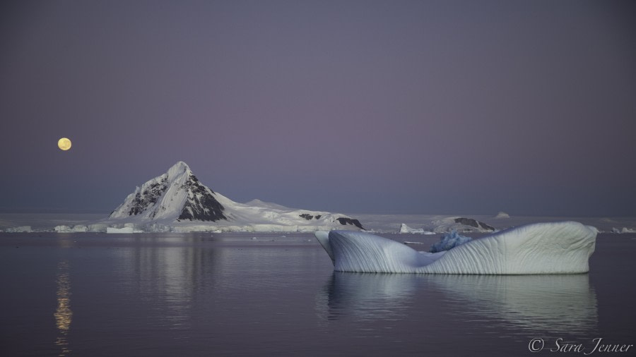 The Antarctic Peninsula: The Gullet and Horseshoe Island