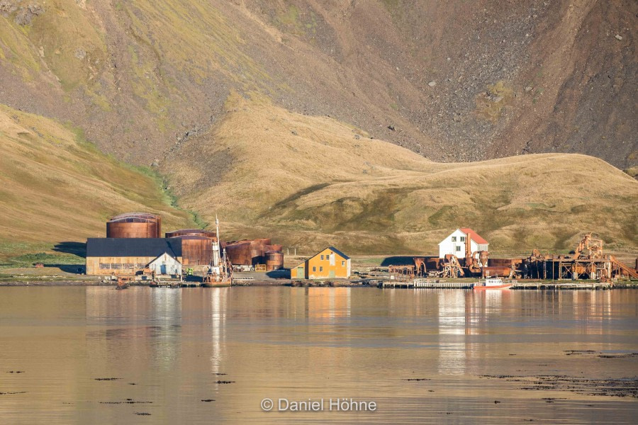 South Georgia: Grytviken and Jason Harbour