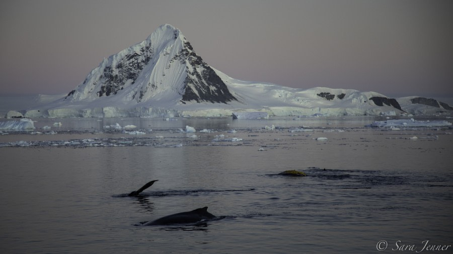 HDS31-20, Day 16, 10 Mar Below the circle 5 - Oceanwide Expeditions.jpg