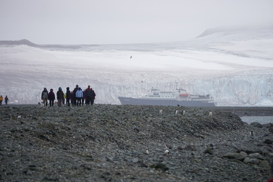 PLA31-20, Day 09, Half Moon_Yankeeyankee_Steffi_Liller -Oceanwide Expeditions.JPG