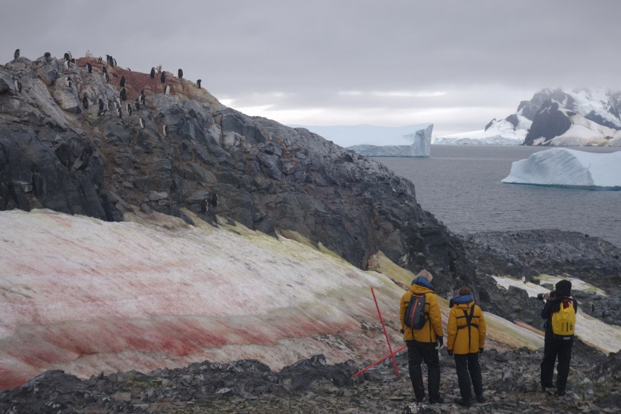 PLA31-20, Day 08, Foyne_Orne Nelleke 8 -Oceanwide Expeditions.jpeg