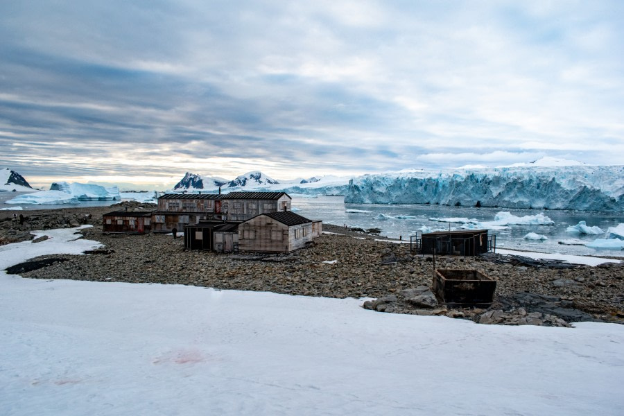 HDS31-20, Day 17, 11 Mar Stunnington - Oceanwide Expeditions.jpg