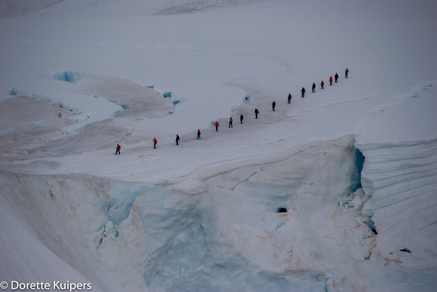 PLA31-20, Day 05, Brown_Neko Paradise climing closer -Oceanwide Expeditions.jpg