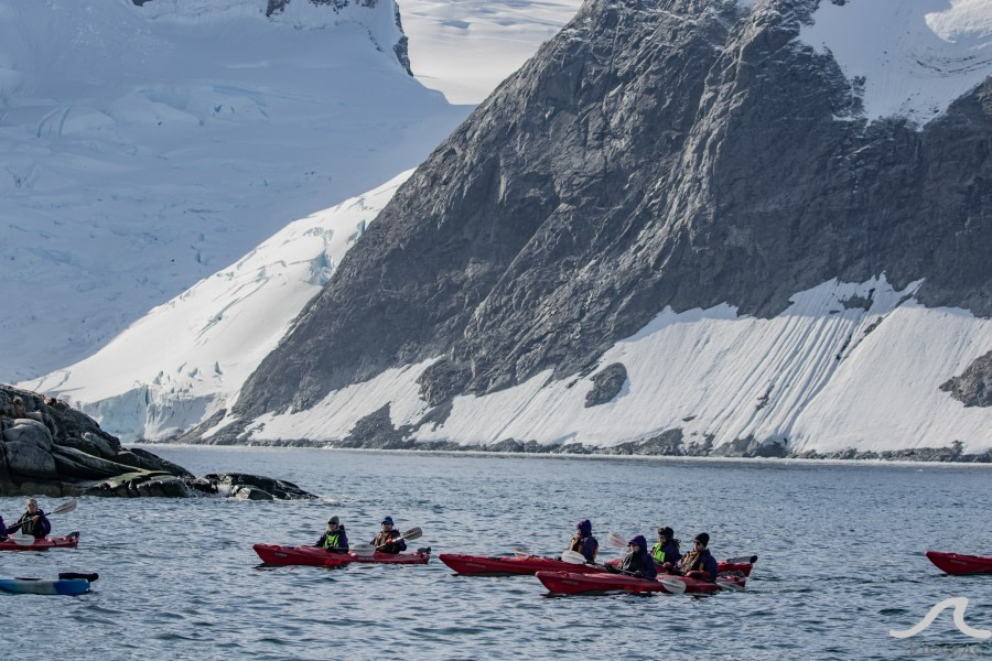 PLA31-20, Day 06, Lemaire_Petermann_Pleneau pippalow-6761 -Oceanwide Expeditions.jpg