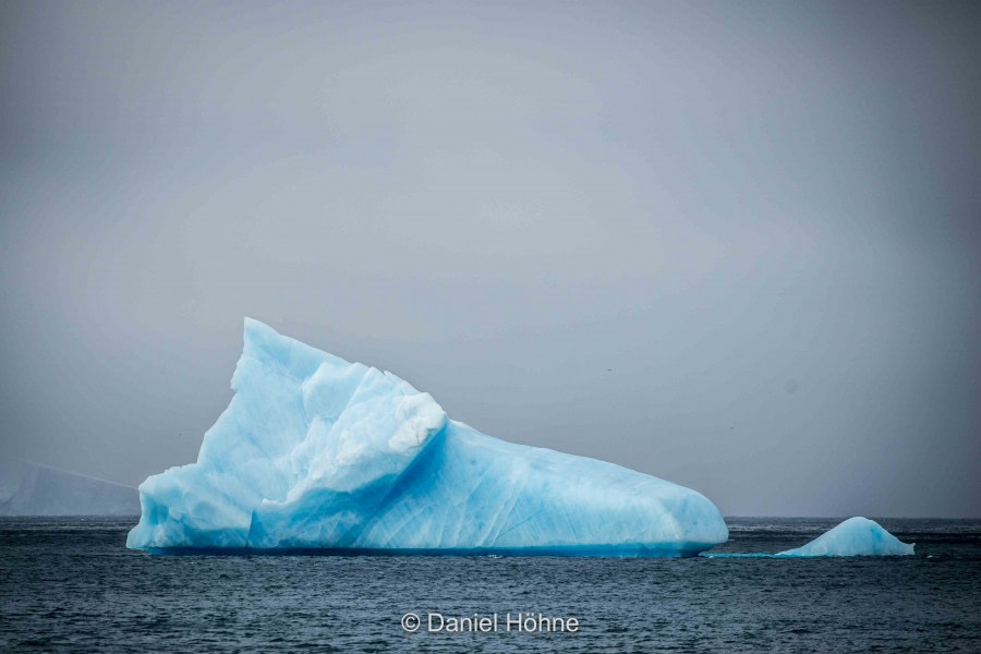 HDS31-20, Day 12, 06 Mar 5D2A3625 - Oceanwide Expeditions.jpg