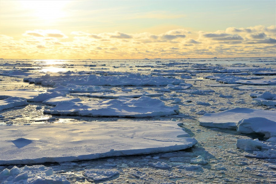 OTL28-20, 20200311-Gary-Amundsen Sea-pack ice2 Gary Miller - Oceanwide Expeditions.JPG