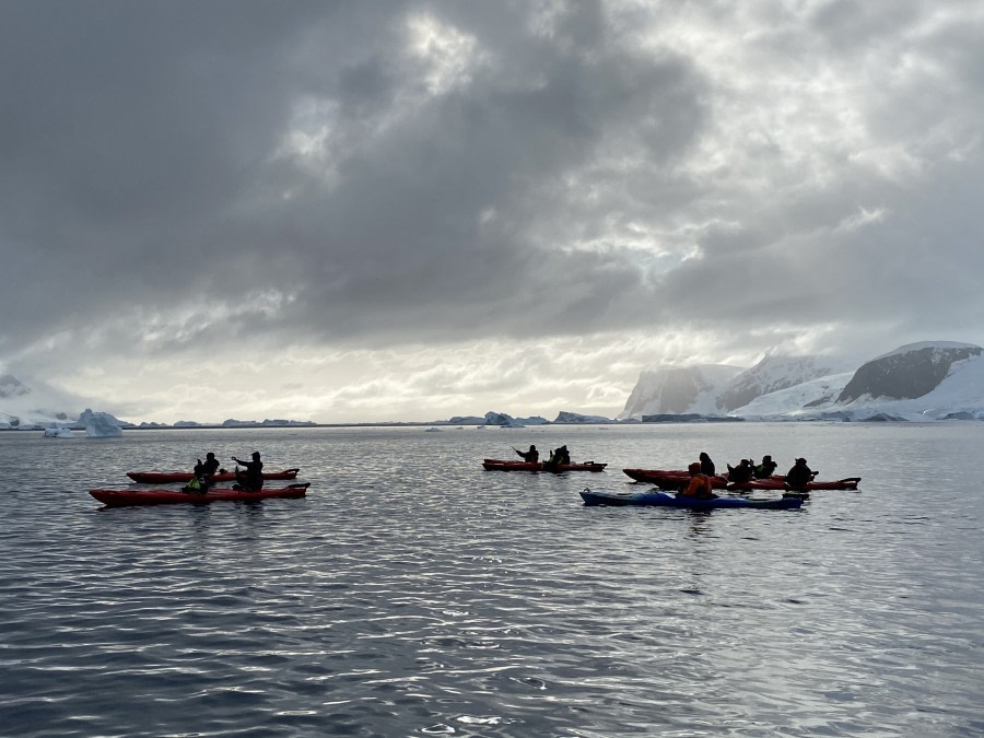 PLA32-20, Day 06, 14 March, Kayak Andvord  Andvord Bay, Dorette Kuipers - Oceanwide Expeditions.jpg