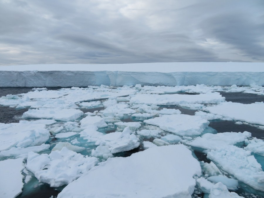 Weddell Sea pack ice © Sanneke van der Sanden - Oceanwide Expeditions.jpg