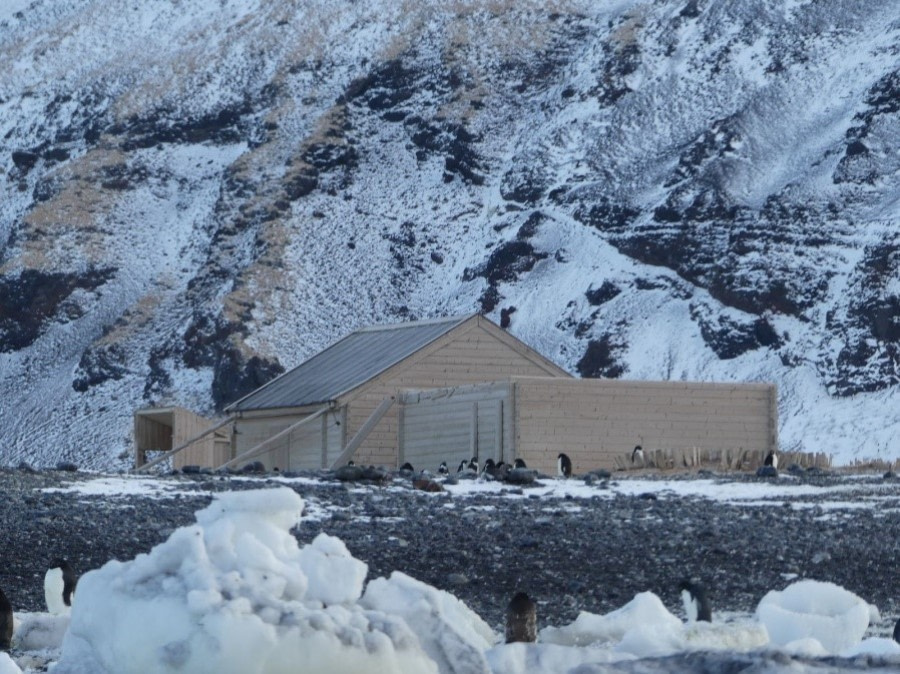 Cape Adare, Robertson Bay, Antarctica