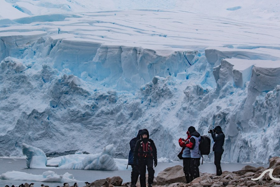 PLA32-20, Day 06, 14 March, pippalow-8306 - Oceanwide Expeditions.jpg