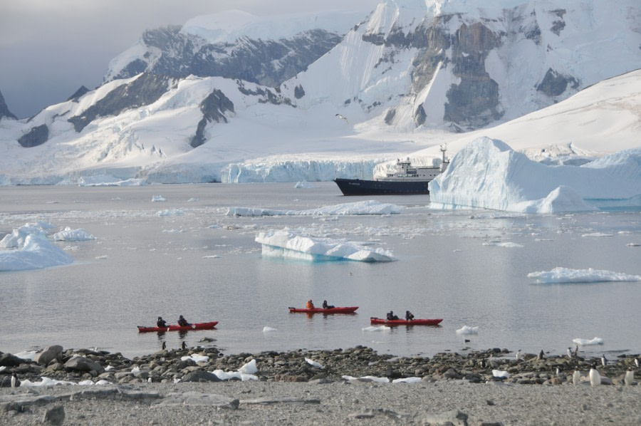 PLA32-20, Day 04, 12 March Danco_CelineClement6 - Oceanwide Expeditions.JPG