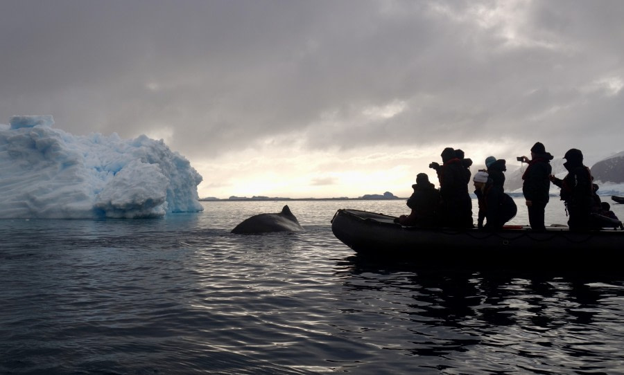 PLA32-20, Day 06, 14 March, Nelleke 4 - Oceanwide Expeditions.jpeg