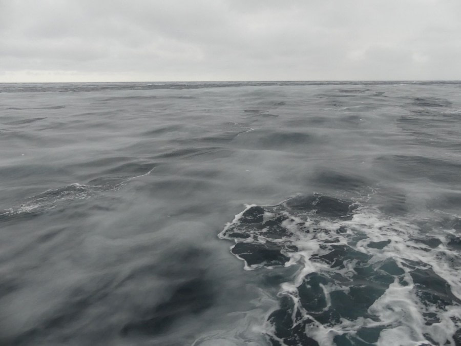 OTL28-20, 28 Feb, The sea freezing, Victoria Salem - Oceanwide Expeditions.jpg