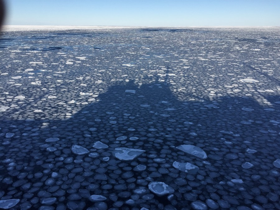 At sea towards Bay of Whales, Ross Sea