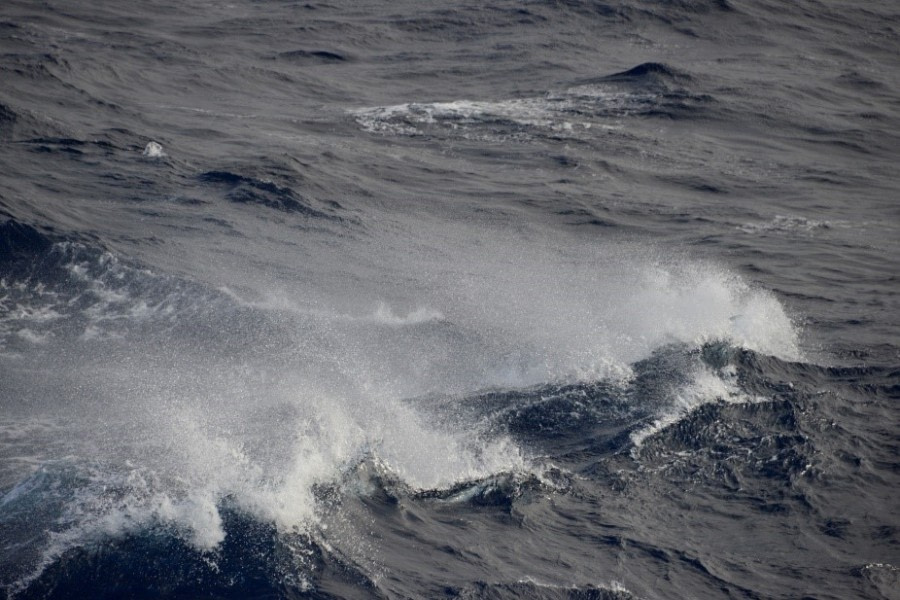 In the Bellingshausen Sea, Antarctica