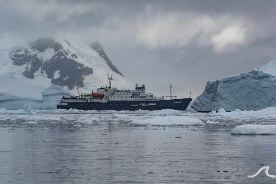 PLA32-20, Day 06, 14 March, pippalow-8399 - Oceanwide Expeditions.jpg