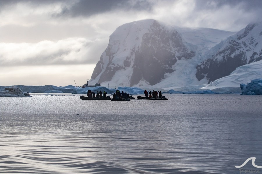 PLA32-20, Day 06, 14 March, pippalow-8468 - Oceanwide Expeditions.jpg