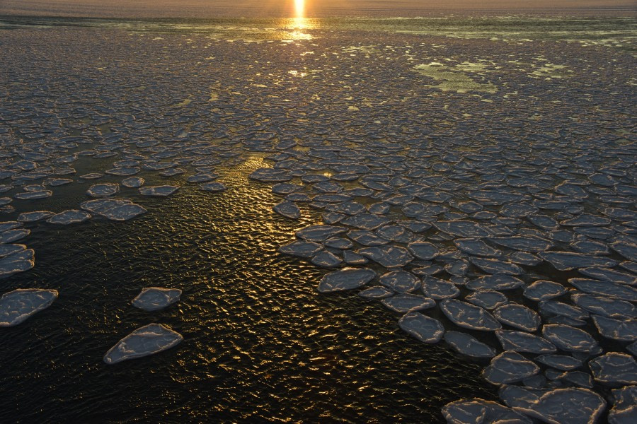 OTL28-20, 20200229-Gary-sunset pancakes Gary Miller - Oceanwide Expeditions.JPG