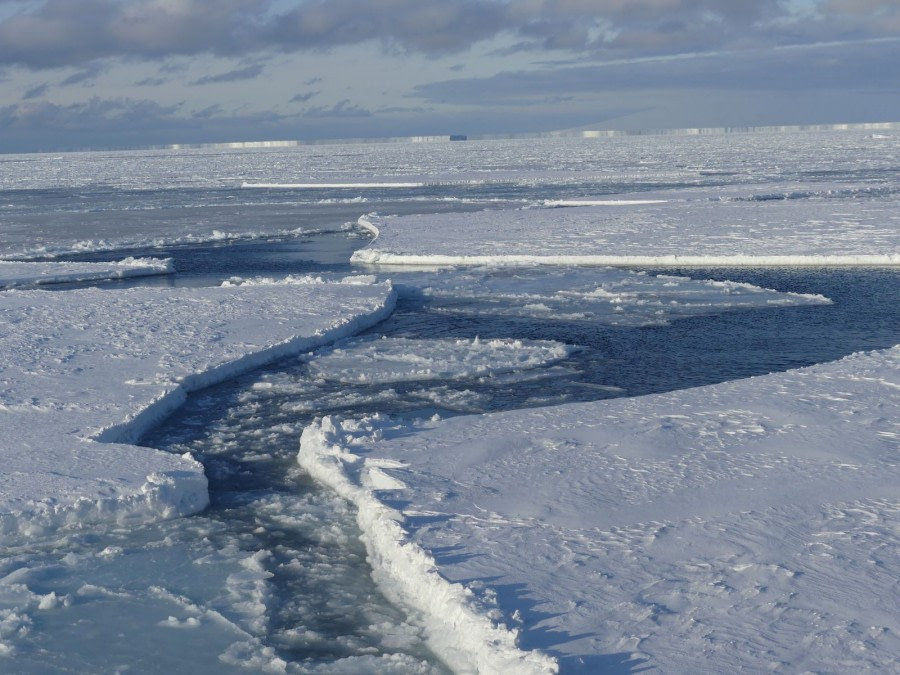 OTL28-20, 01 Mar, Sea ice, Victoria Salem - Oceanwide Expeditions.jpg