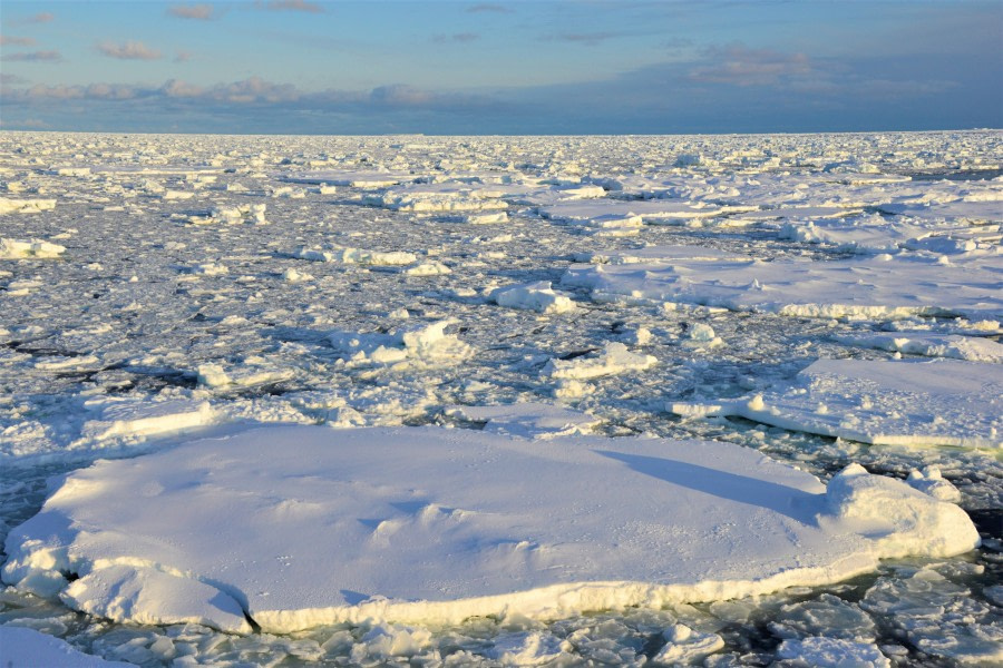 OTL28-20, 20200311-Gary-Amundsen Sea-pack ice Gary Miller - Oceanwide Expeditions.JPG