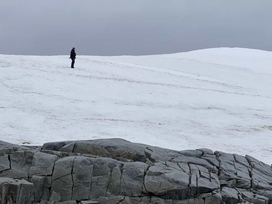 PLA32-20, Day 07, 15 March, Ian on the hill Portal Point, Dorette Kuipers - Oceanwide Expeditions.jpg