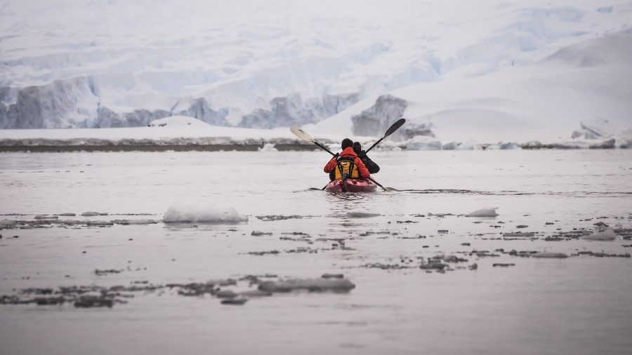 Antarctic kayaking © Dietmar Denger - Oceanwide Expeditions (3).jpg