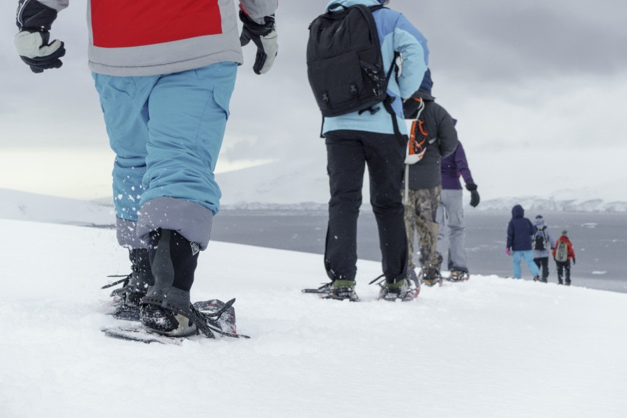 Snowshoeing in Antarctica © Folkert Lenz - Oceanwide Expeditions (18).jpg