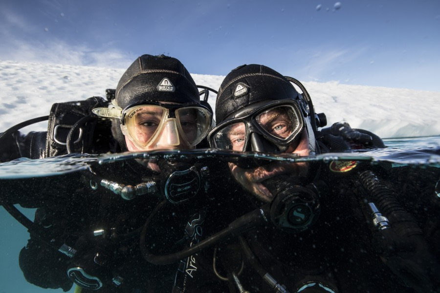 Dive buddies © Alexander Kassler - Oceanwide Expeditions.jpg