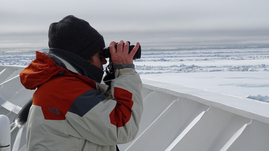 Search for wildlife in the Arctic pack ice © Meike Sjoer - Oceanwide Expeditions.jpg