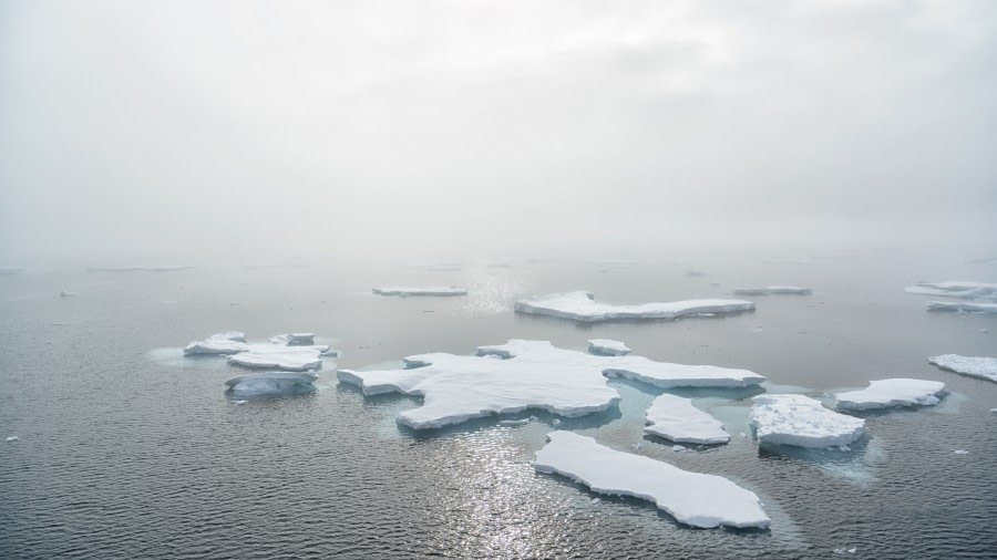 Arctic pack ice © Andreas Alexander - Oceanwide Expeditions