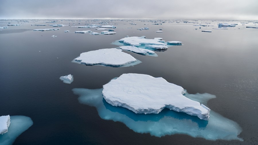 In the pack ice in search of the polar bear