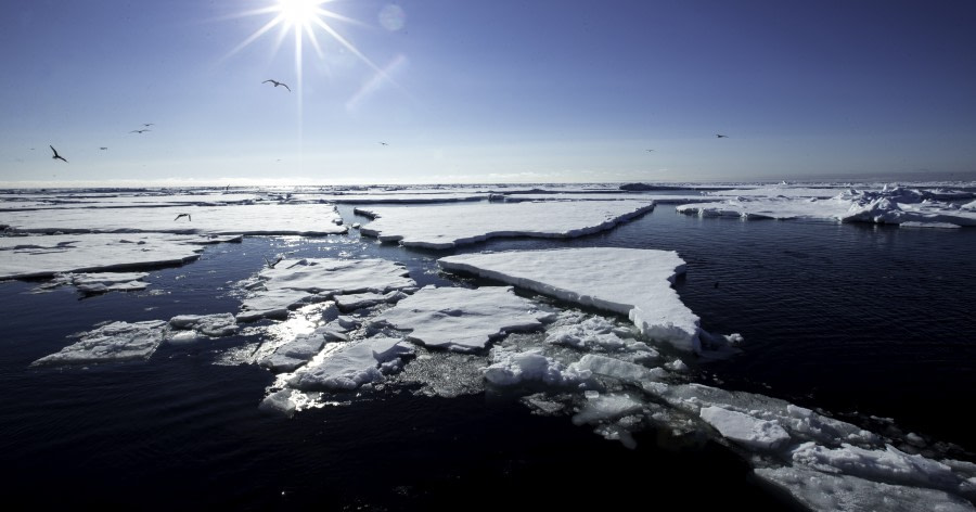 Arctic pack ice © Sara Jenner - Oceanwide Expeditions