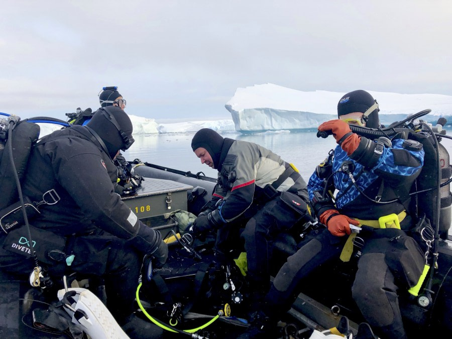 Zodiac with divers, Antarctica © Tanja Bayer - Oceanwide Expeditions.jpg