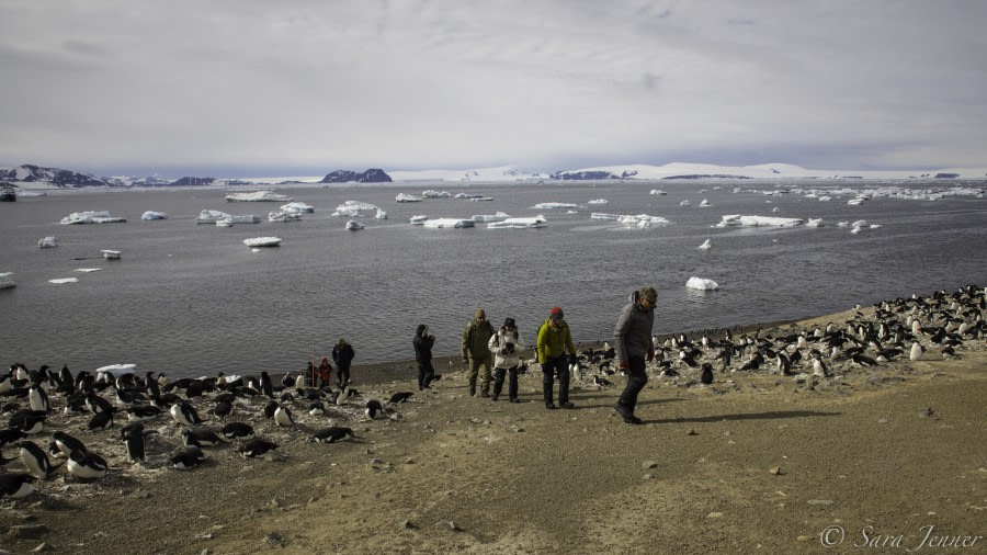 Landing on Devil Island with view to Erebus & Terror Gulf © Sara Jenner - Oceanwide Expeditions.jpg