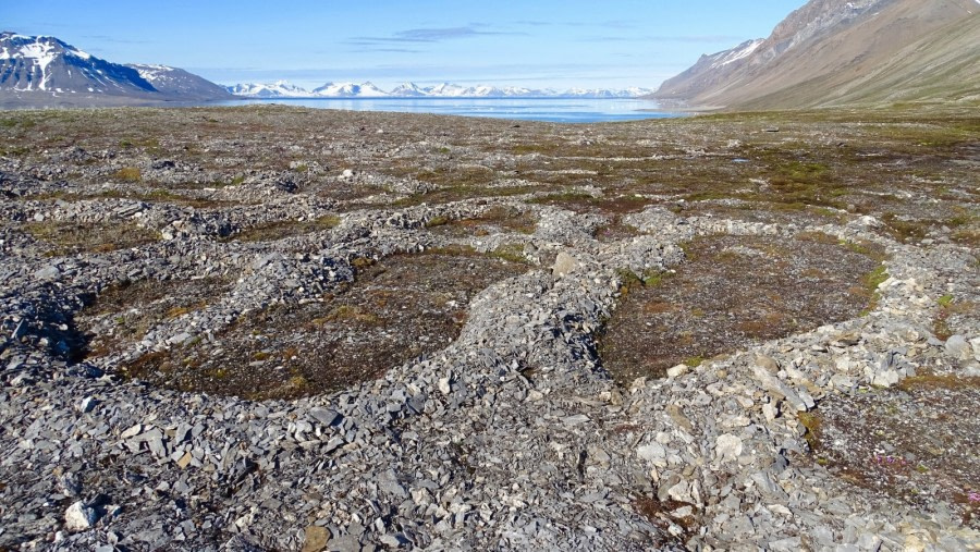 Geology, Polygons, St. Jonsfjorden, Svalbard © Meike Sjoer - Oceanwide Expeditions.jpeg