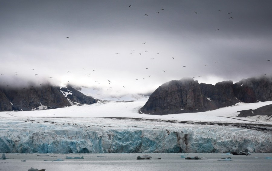 Glaciology, 14th of July Glacier, Kongsfjorden © Geert Kroes - Oceanwide Expeditions