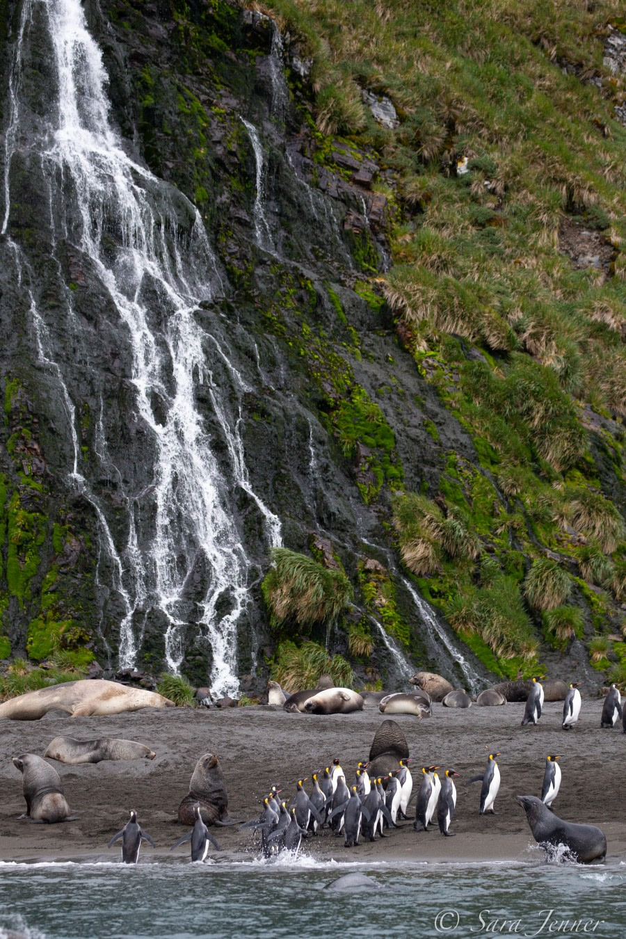 HDSEC-21, Day 14_Right Whale Bay 1 - Oceanwide Expeditions.jpg