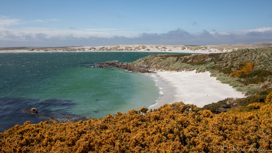 Stanley - Falkland Islands